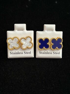 Stainless steel earrings